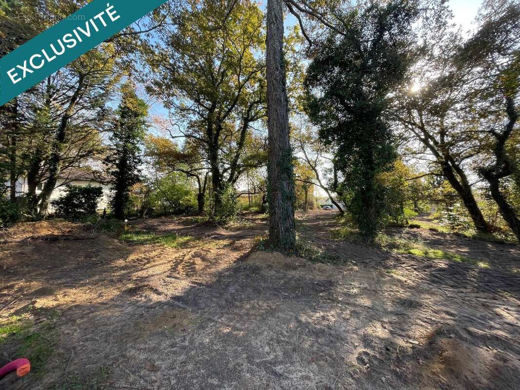 Photo 2 - Terrain à SAINT-PIERRE-DU-MONT