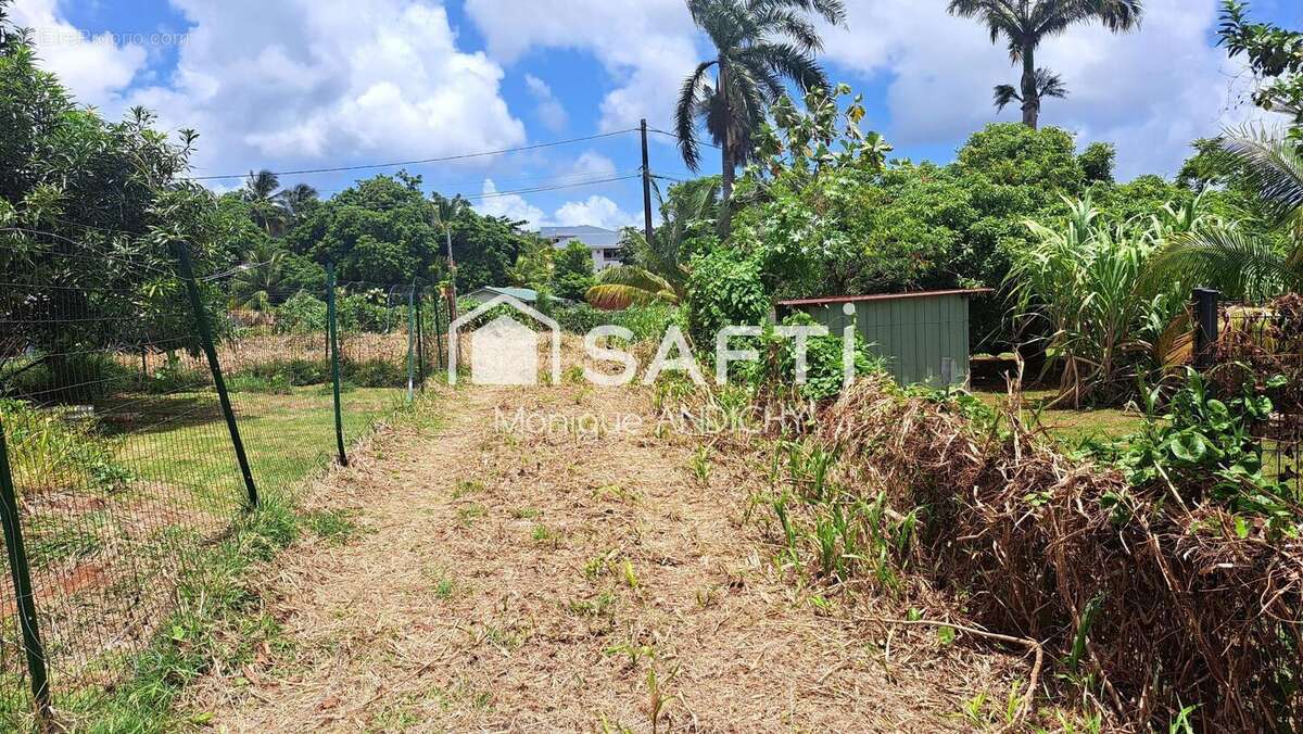 Photo 3 - Terrain à LE ROBERT