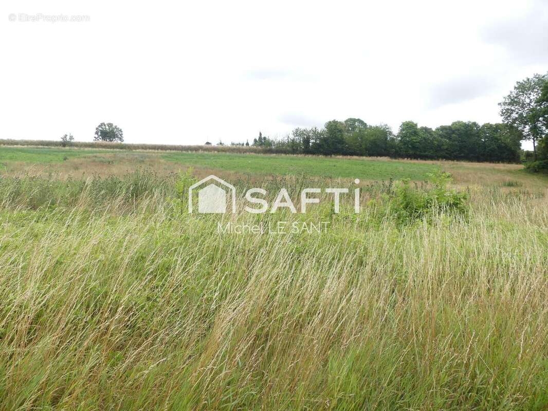 Photo 3 - Terrain à PLAINVAL