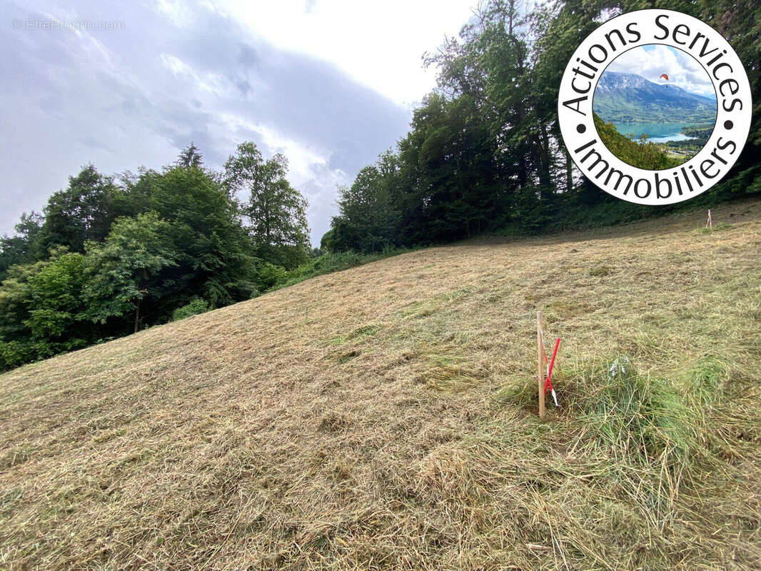 Terrain à NOVALAISE