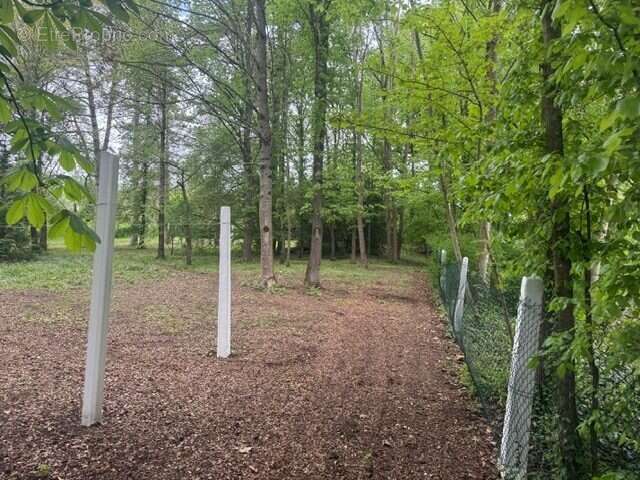 Maison à BOURG-ET-COMIN