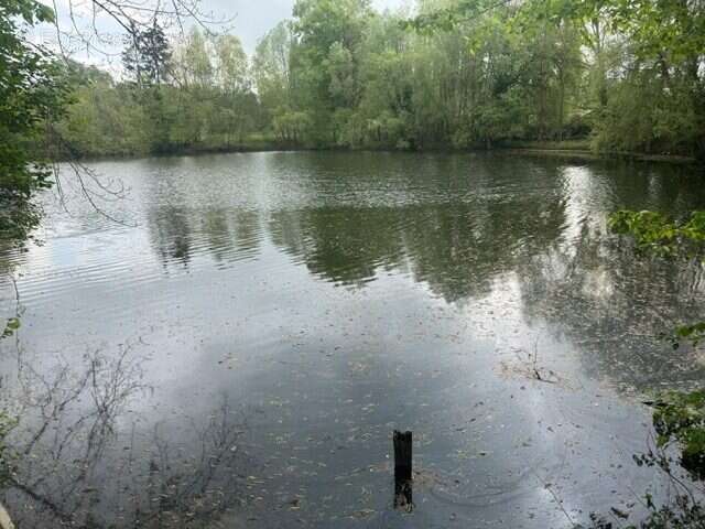 Maison à BOURG-ET-COMIN