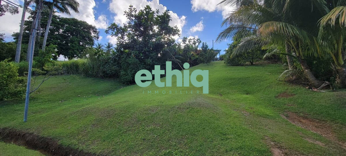 Terrain à PETIT-BOURG