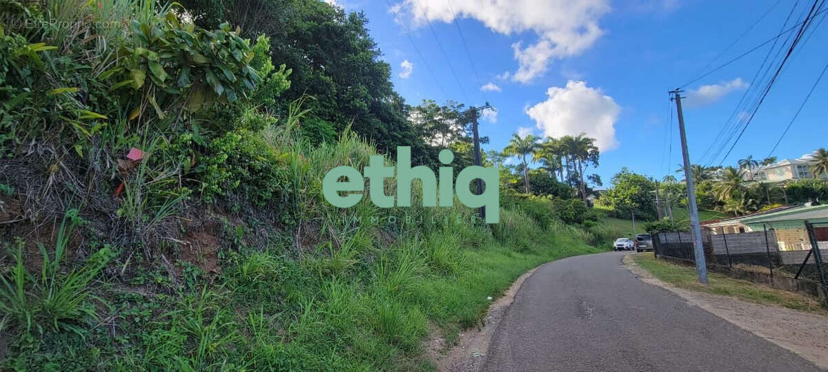 Terrain à PETIT-BOURG