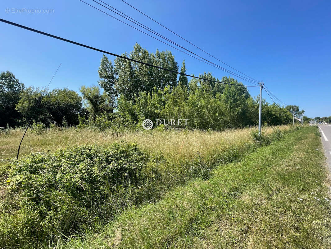 Terrain à LA BARRE-DE-MONTS