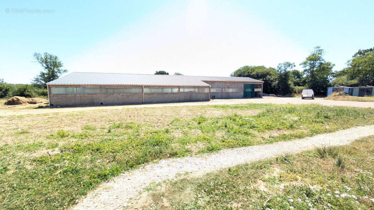 Terrain à RAUVILLE-LA-PLACE