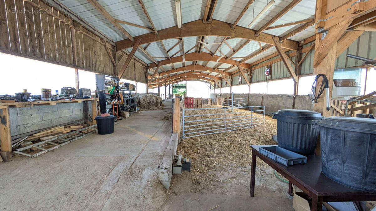 Terrain à RAUVILLE-LA-PLACE