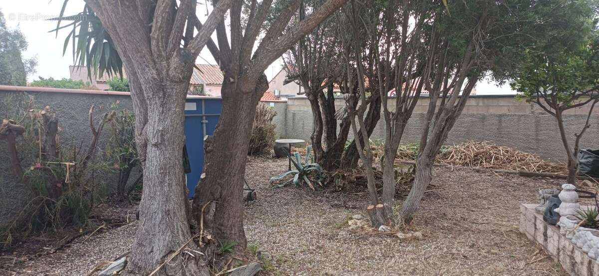 JARDIN Devant - Maison à LE SOLER