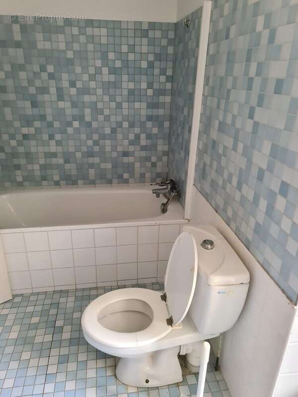 SALLE DE BAIN/WC - Maison à SAINT-COLOMB-DE-LAUZUN