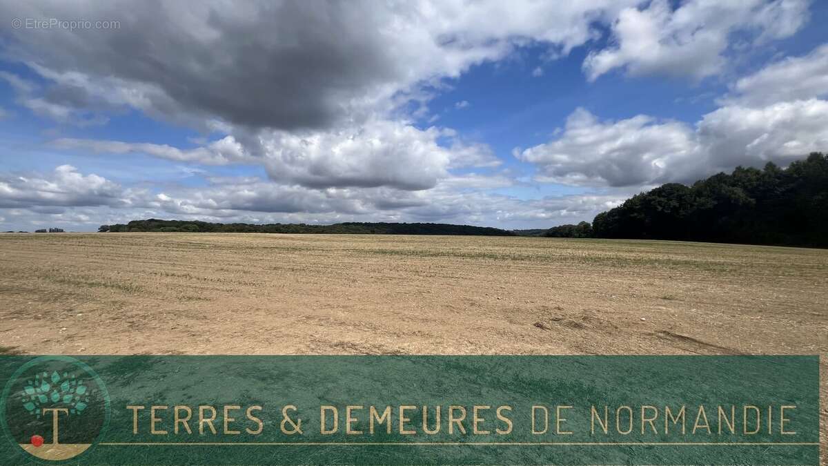 Maison à HAUDRICOURT