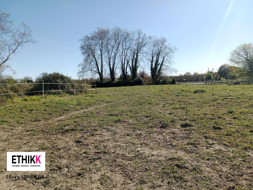 Terrain à HAGETAUBIN