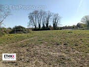 Terrain à HAGETAUBIN