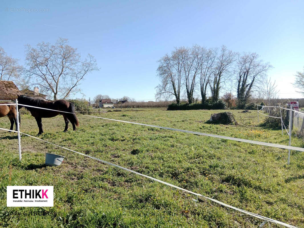 Terrain à HAGETAUBIN