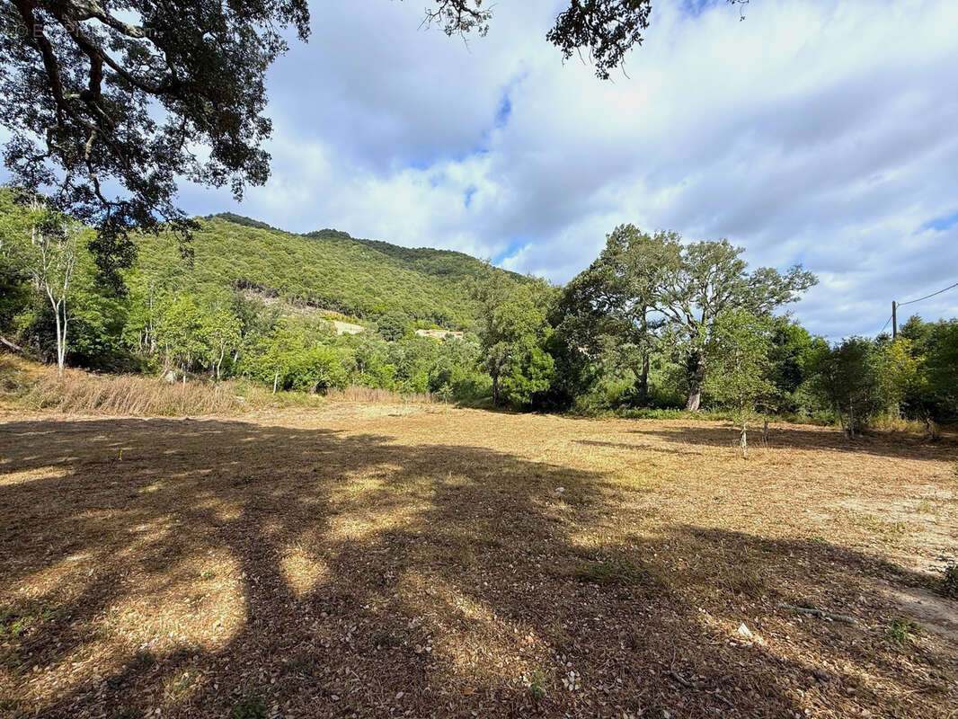 Terrain à SERRA-DI-FIUMORBO