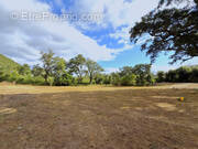 Terrain à SERRA-DI-FIUMORBO