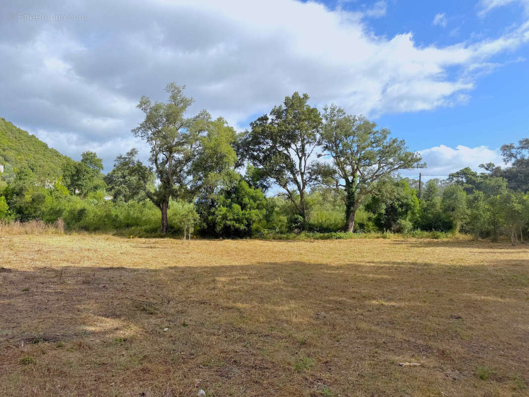 Terrain à SERRA-DI-FIUMORBO