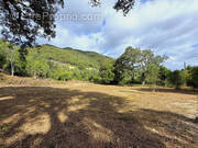 Terrain à SERRA-DI-FIUMORBO