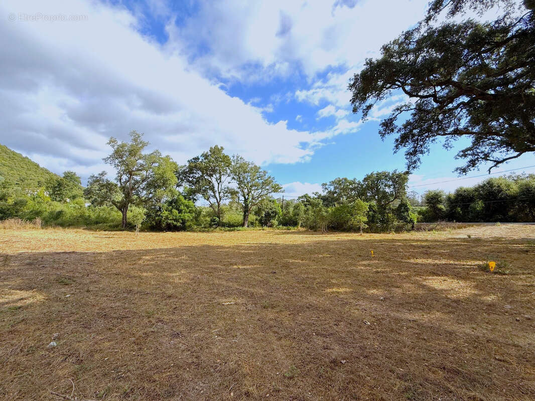 Terrain à SERRA-DI-FIUMORBO