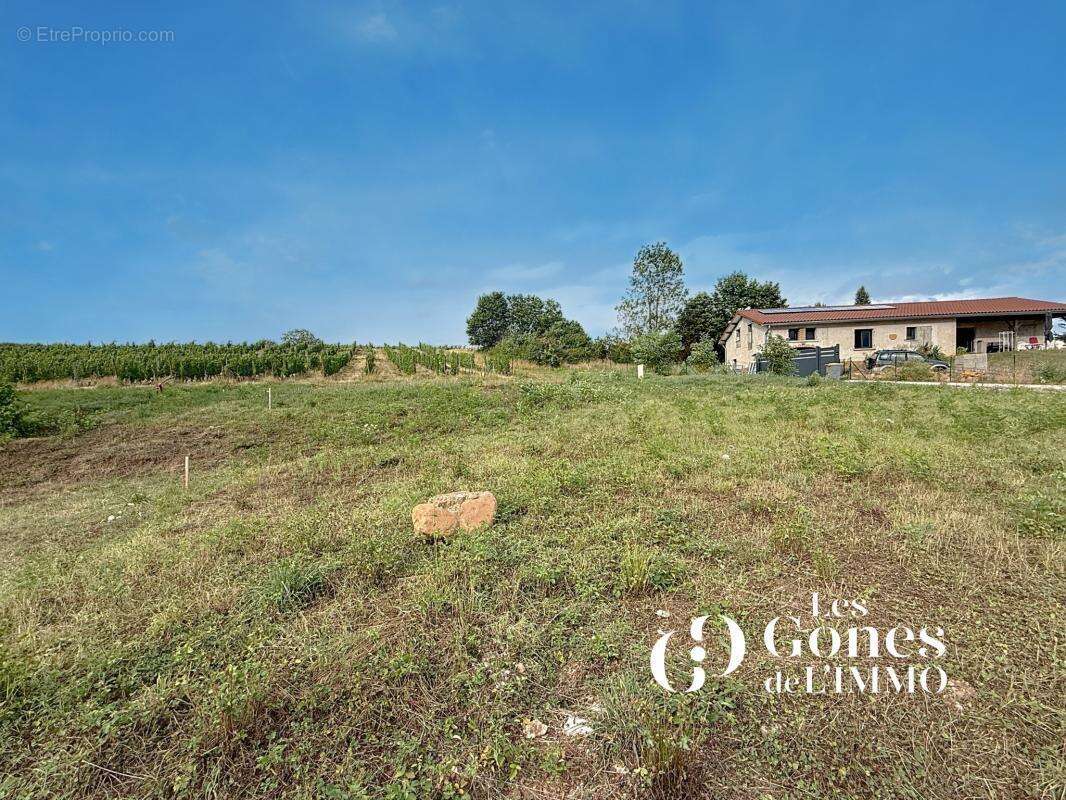 Terrain à LE BOIS-D&#039;OINGT