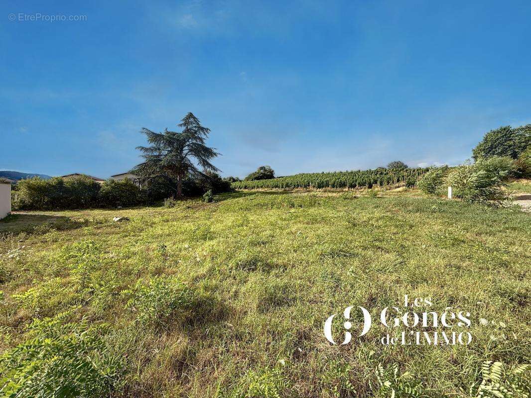 Terrain à LE BOIS-D&#039;OINGT