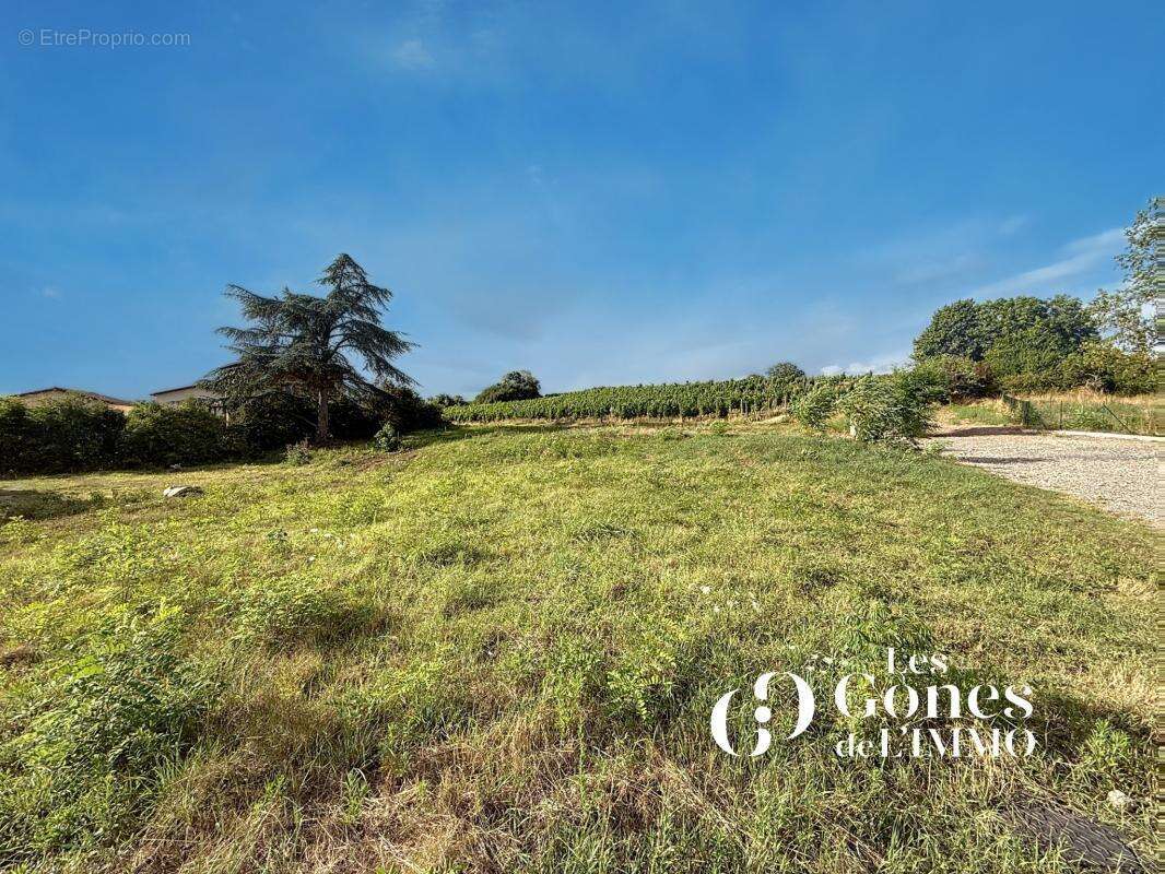 Terrain à LE BOIS-D&#039;OINGT