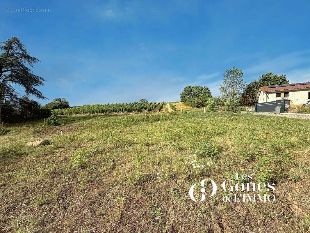 Terrain à LE BOIS-D&#039;OINGT