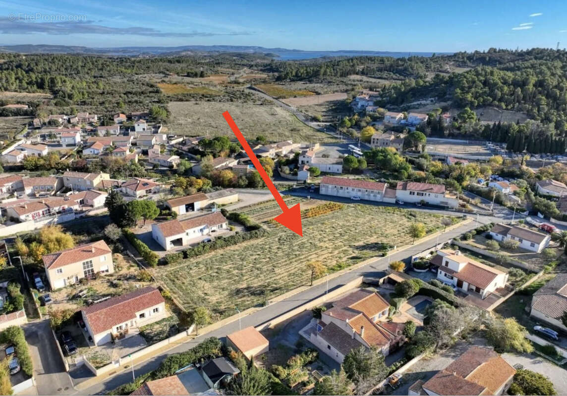 Terrain à PORTEL-DES-CORBIERES