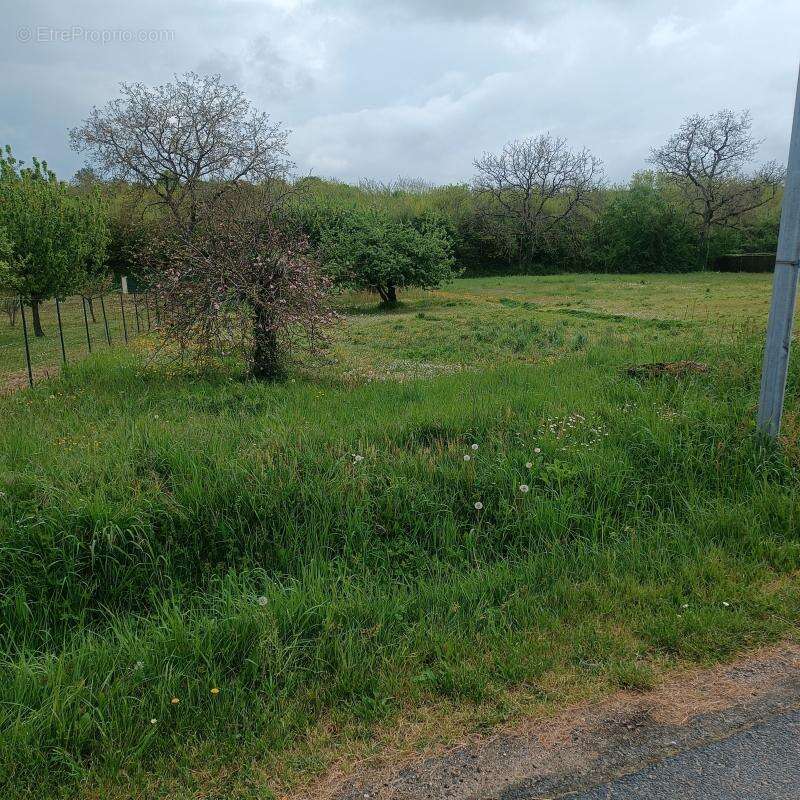 Terrain à THESEE