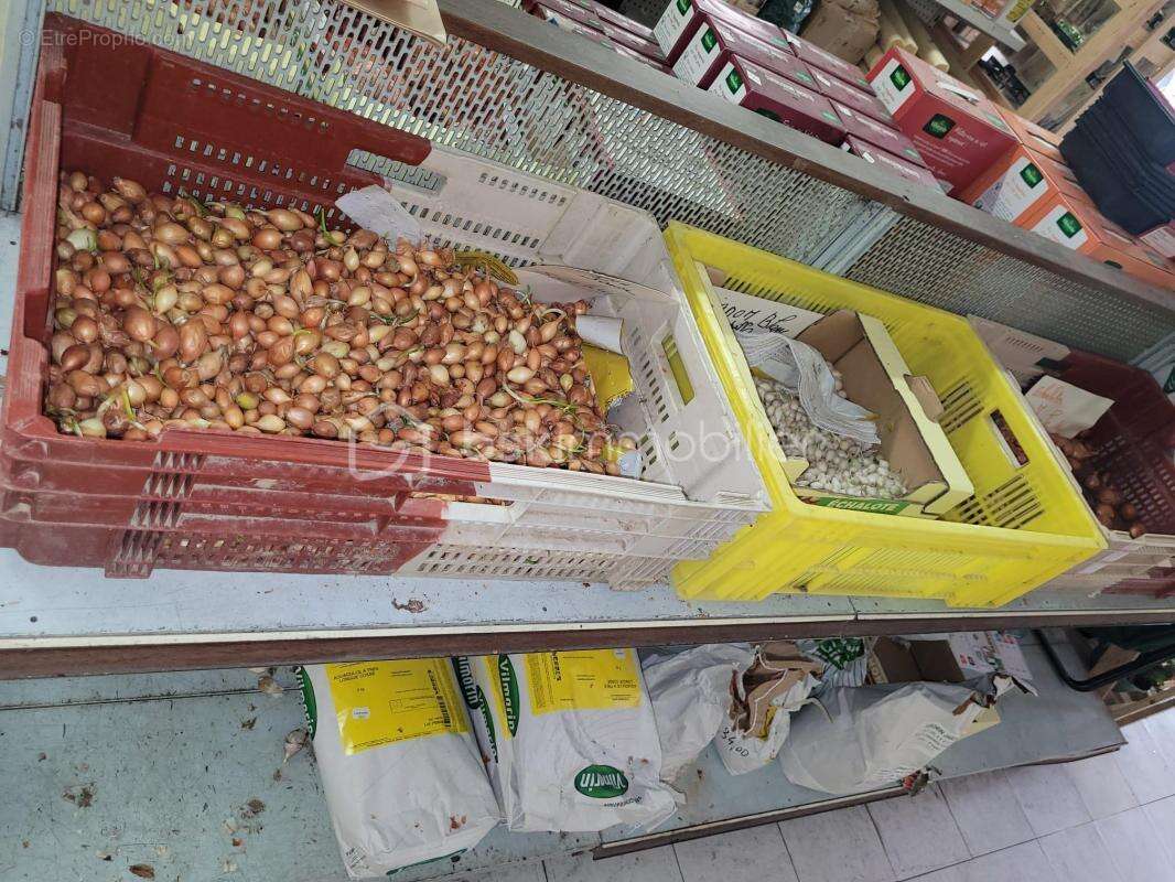 Commerce à MONTAUBAN