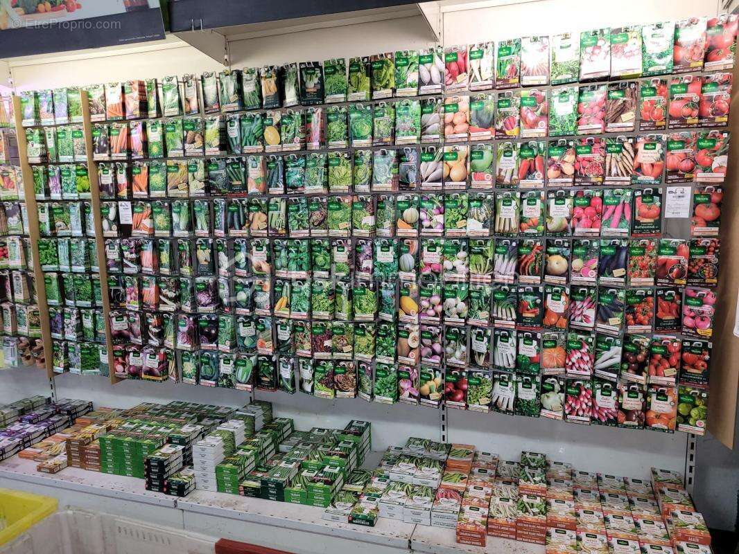 Commerce à MONTAUBAN