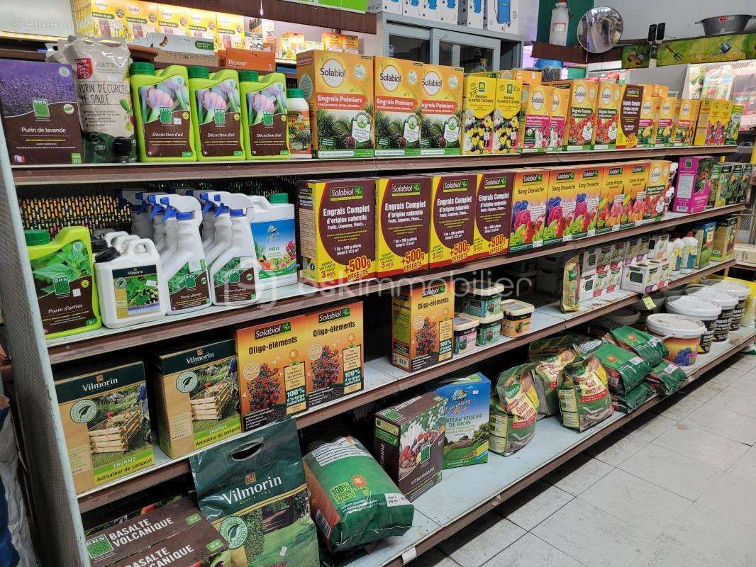 Commerce à MONTAUBAN