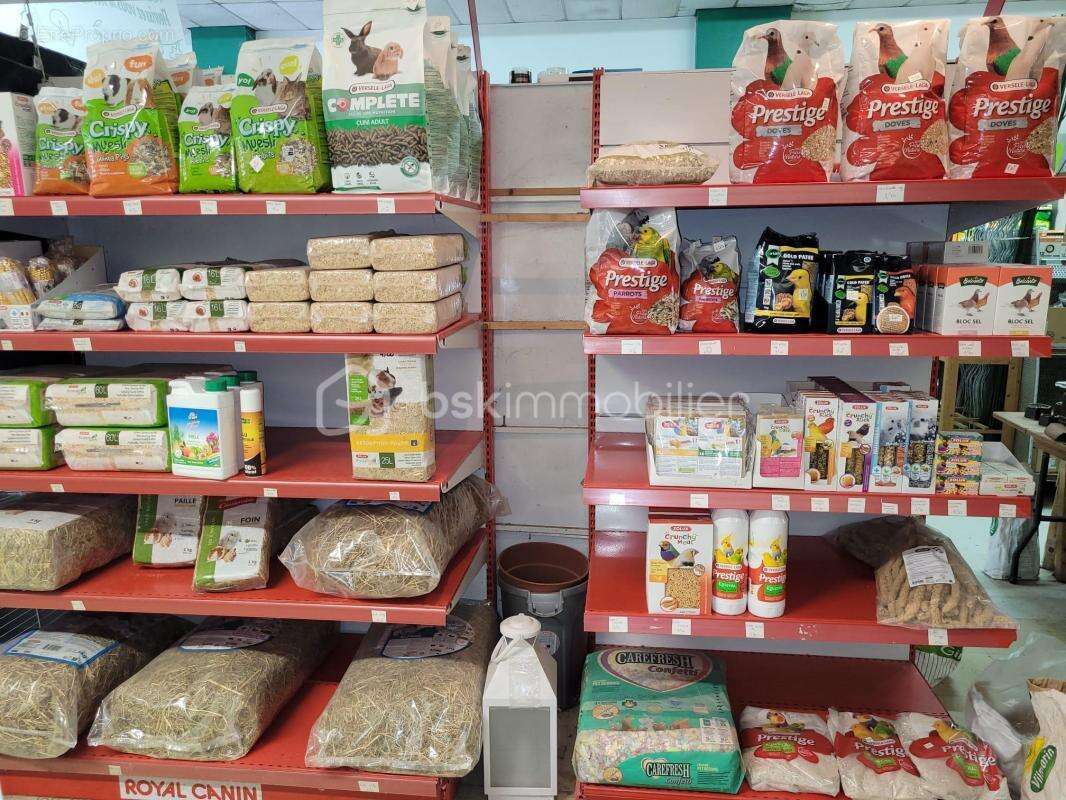 Commerce à MONTAUBAN