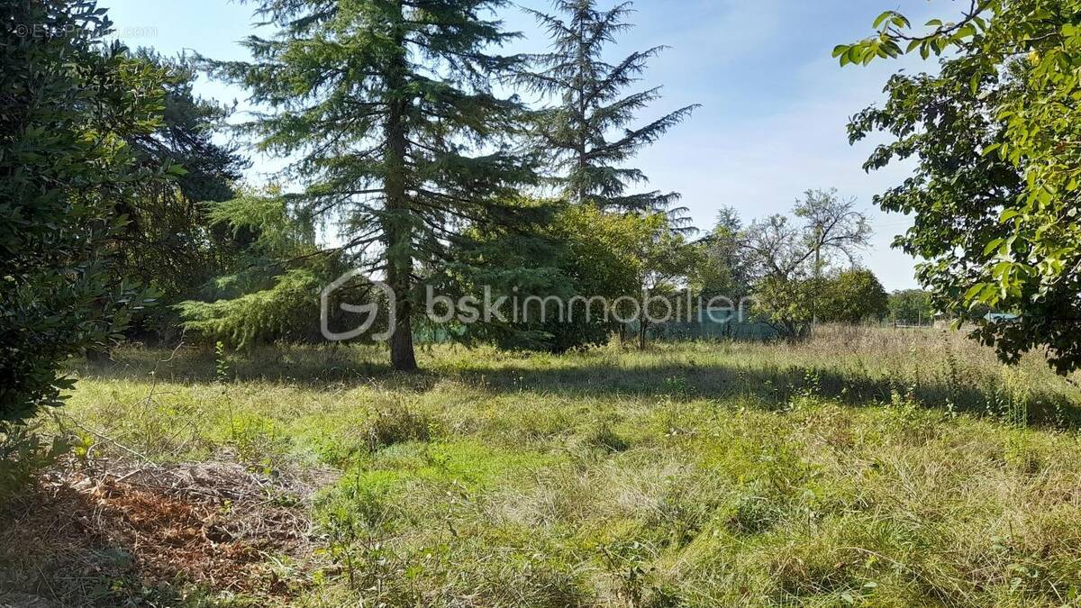 Terrain à SAINT-GEORGES-SUR-CHER