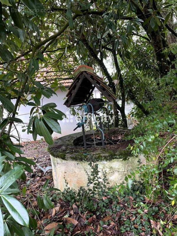 Maison à SAINT-REMY-EN-ROLLAT