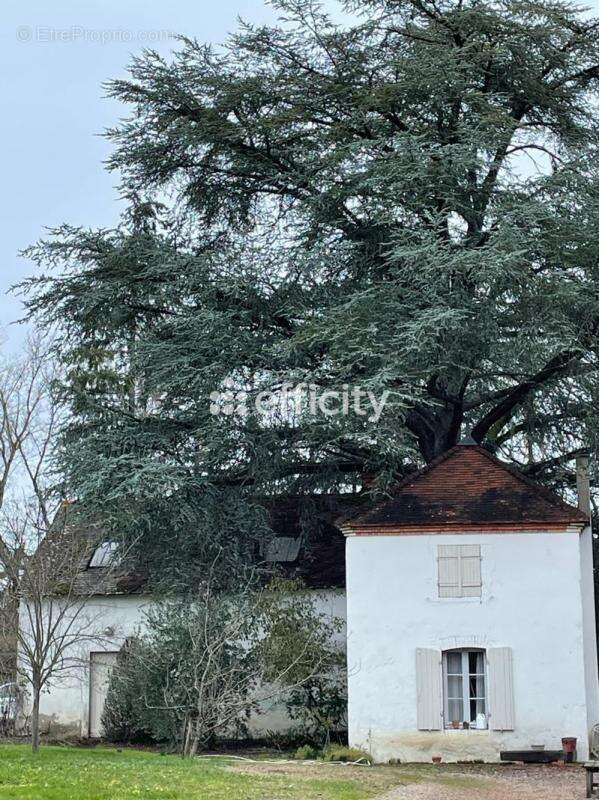 Maison à SAINT-REMY-EN-ROLLAT