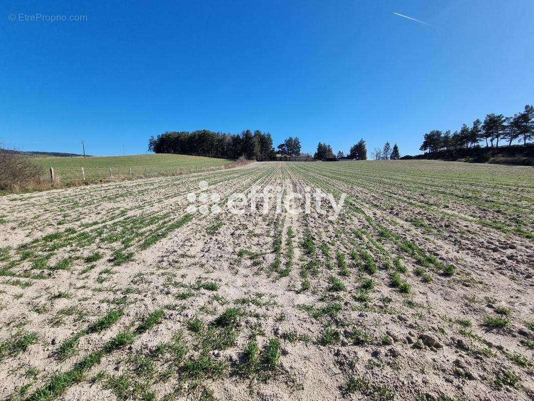 Terrain à LE MALZIEU-FORAIN