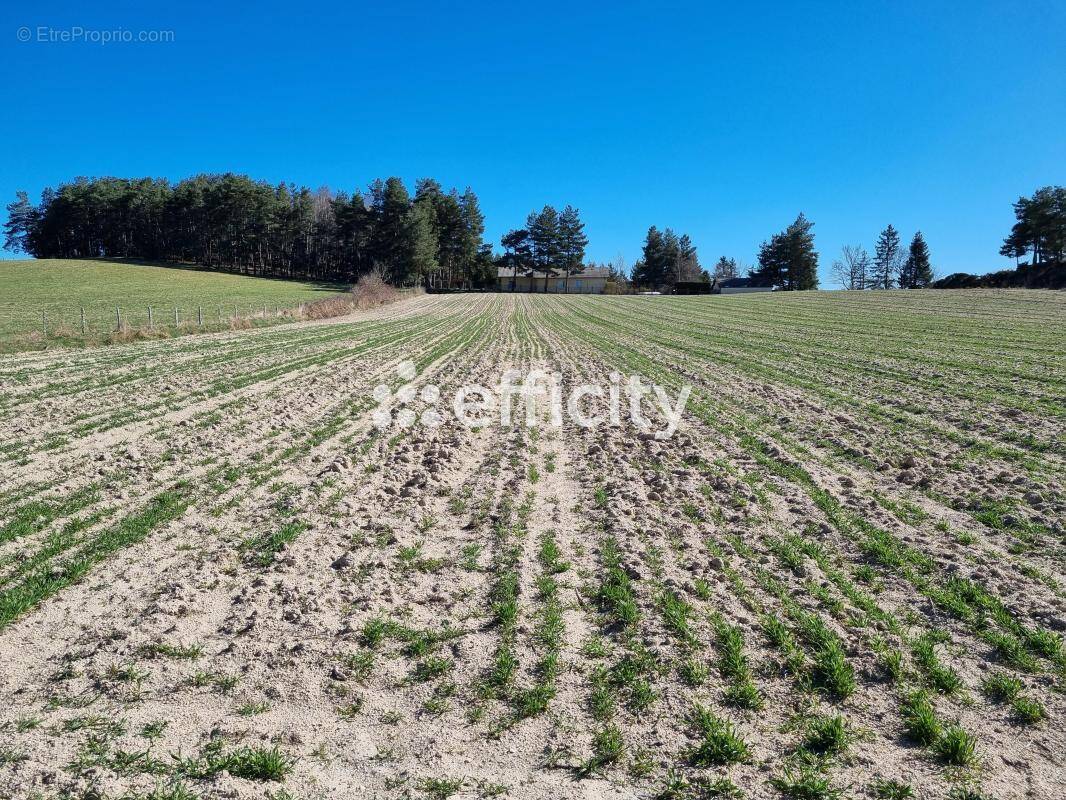 Terrain à LE MALZIEU-FORAIN