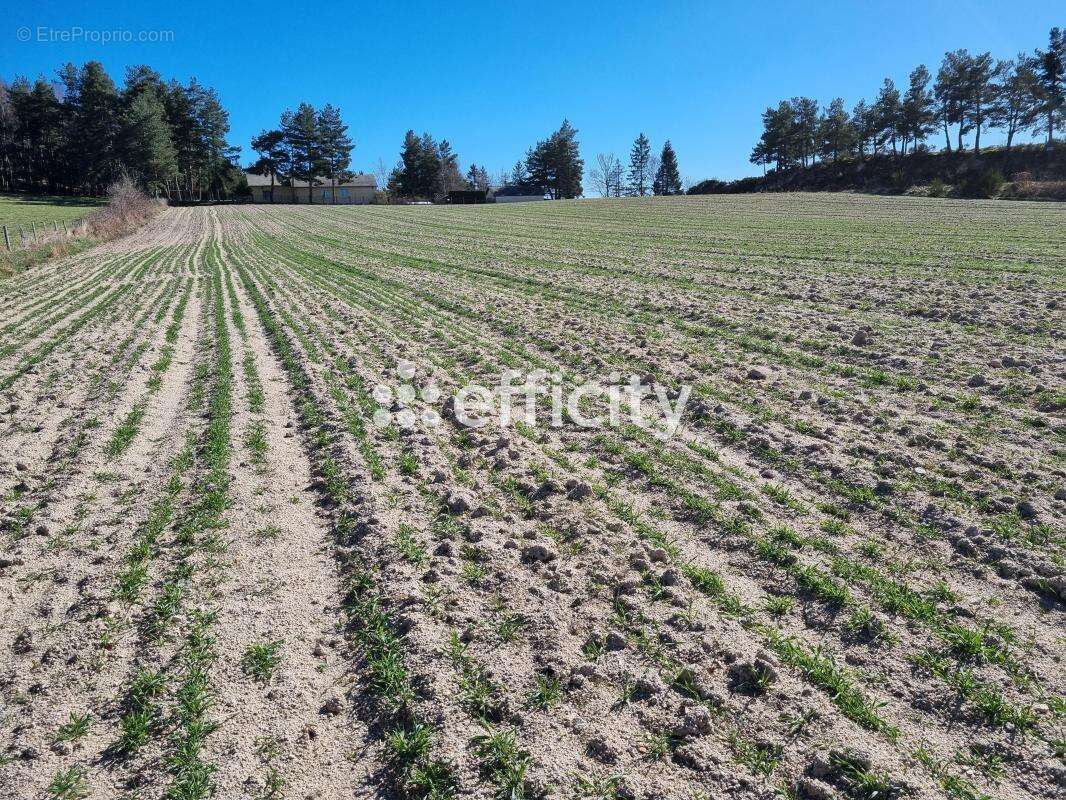 Terrain à LE MALZIEU-FORAIN
