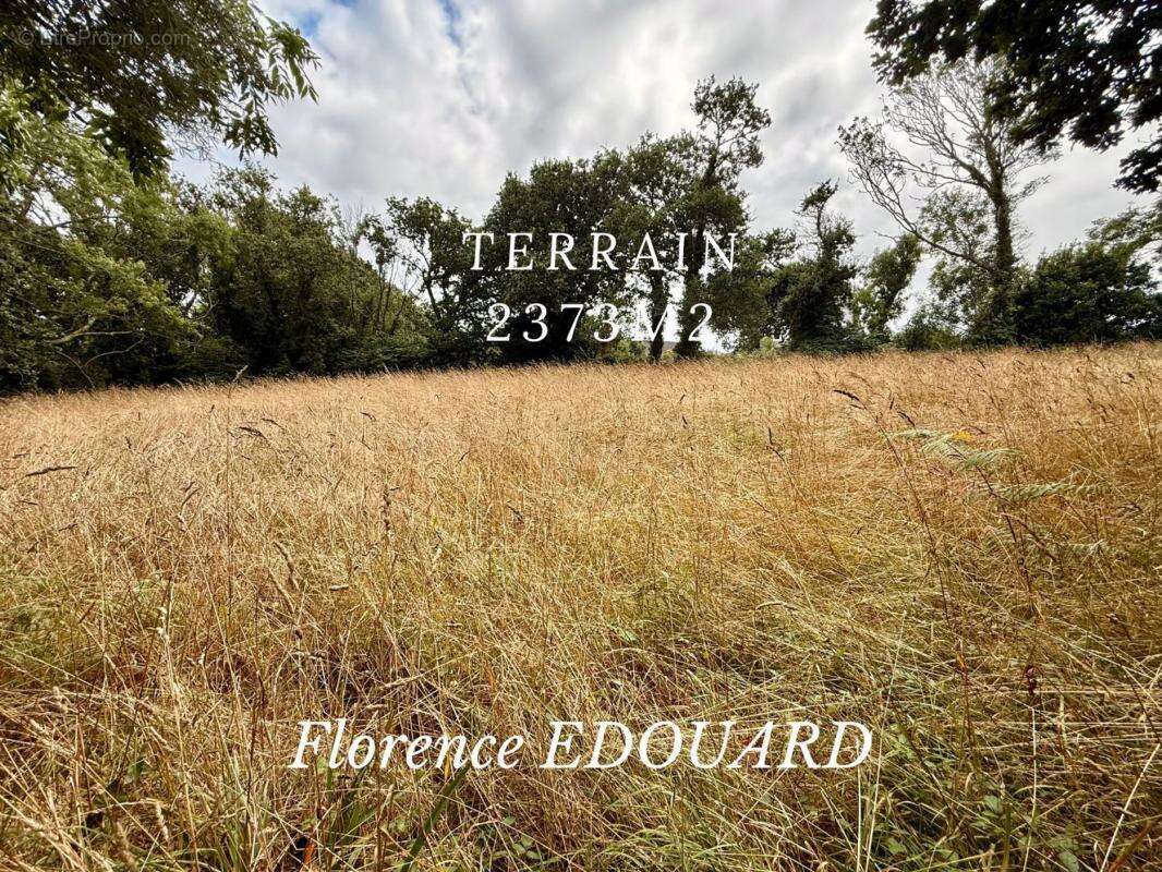 Terrain à CLEDEN-CAP-SIZUN