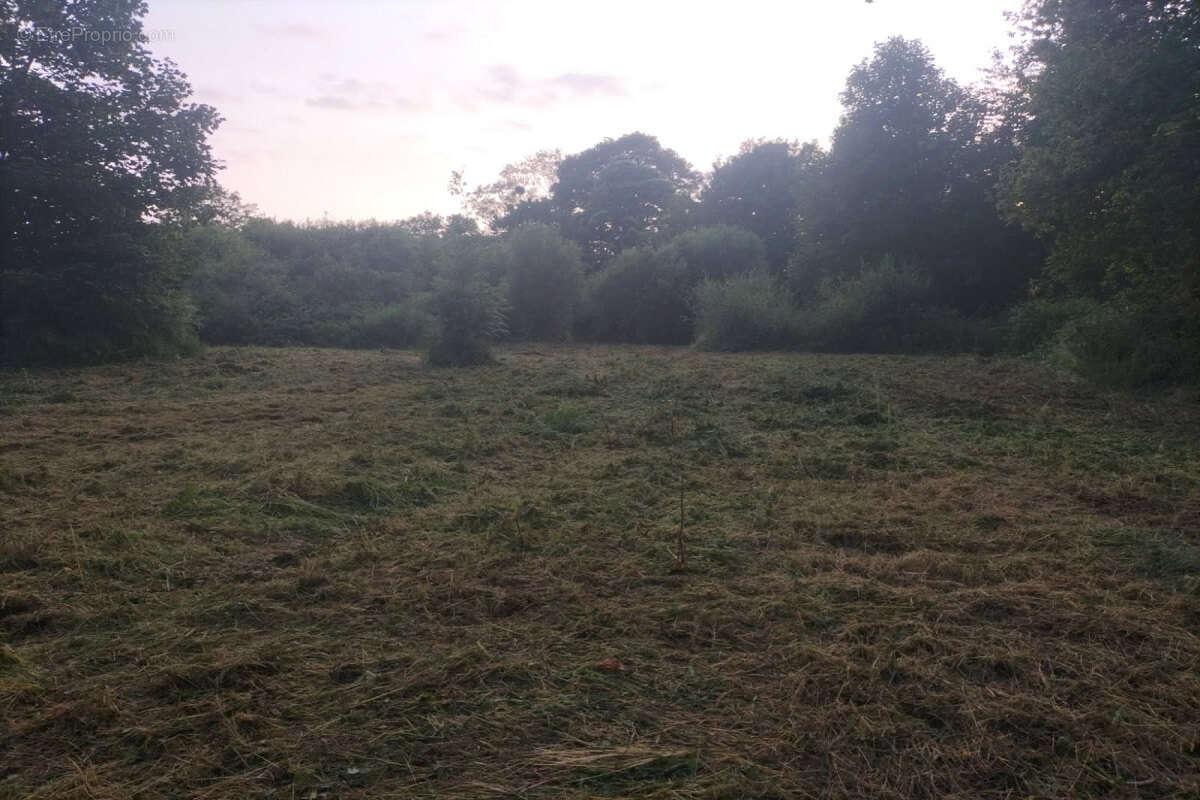 Terrain à SAINT-GUYOMARD