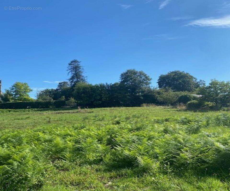 Terrain à SAINT-GUYOMARD