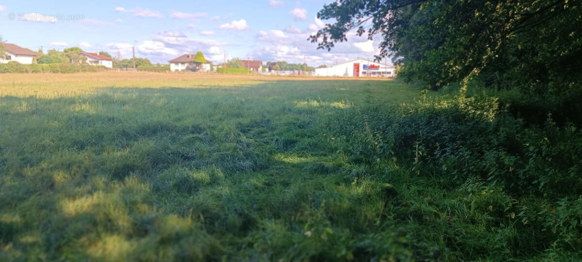 Terrain à LUXEUIL-LES-BAINS