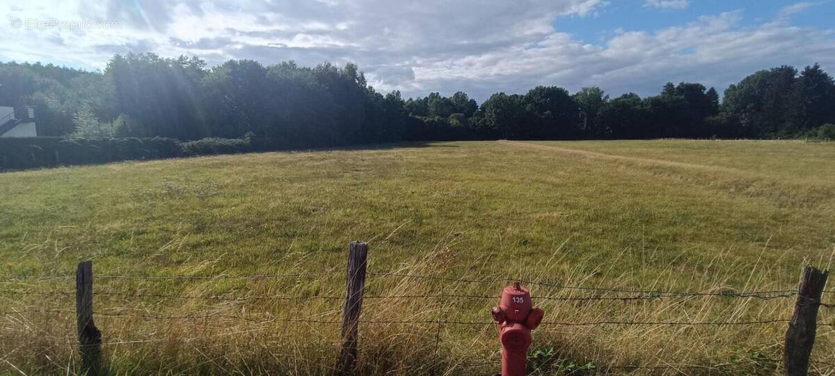 Terrain à LUXEUIL-LES-BAINS