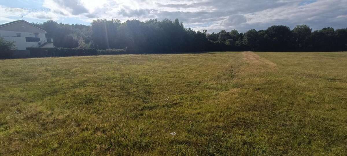 Terrain à LUXEUIL-LES-BAINS