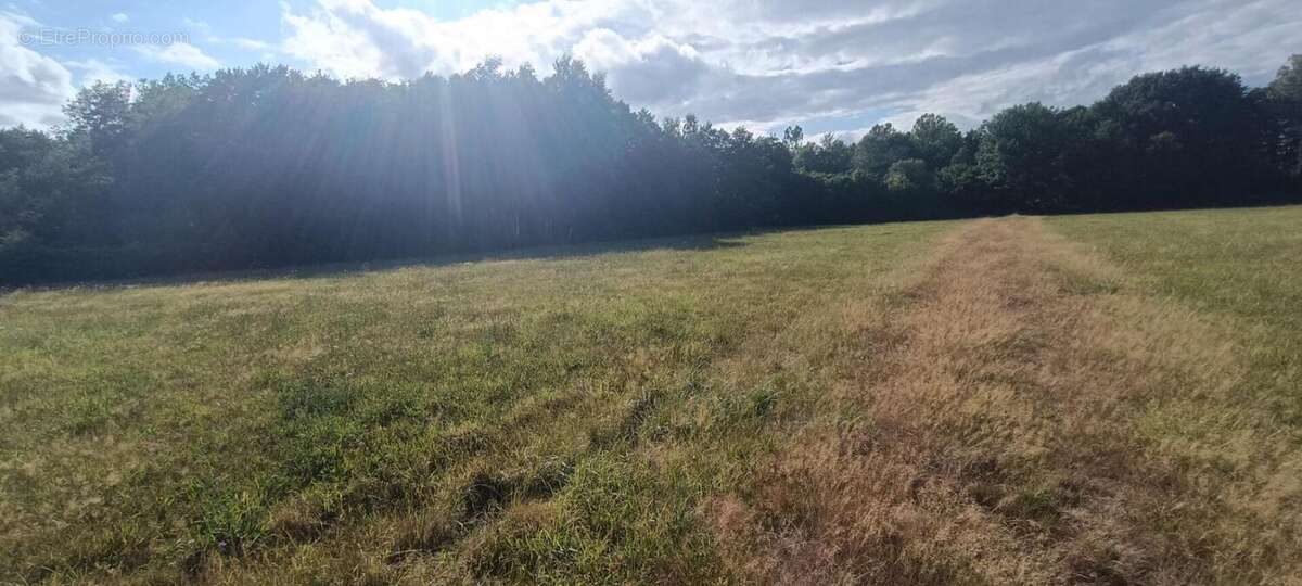 Terrain à LUXEUIL-LES-BAINS