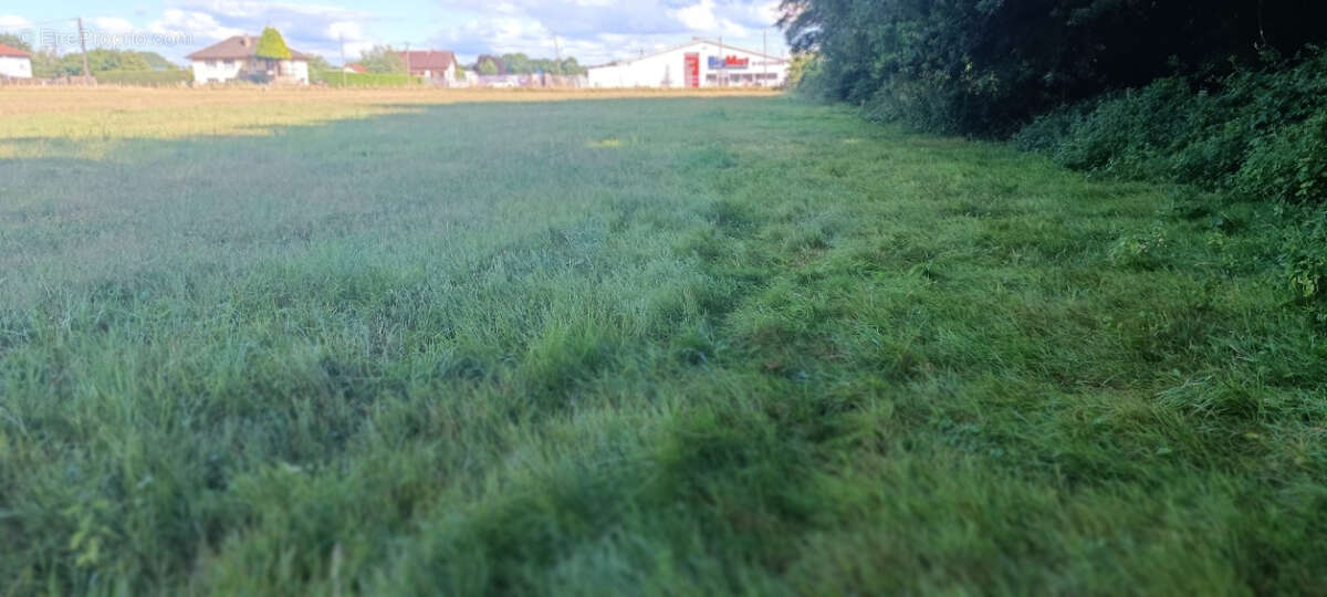 Terrain à LUXEUIL-LES-BAINS