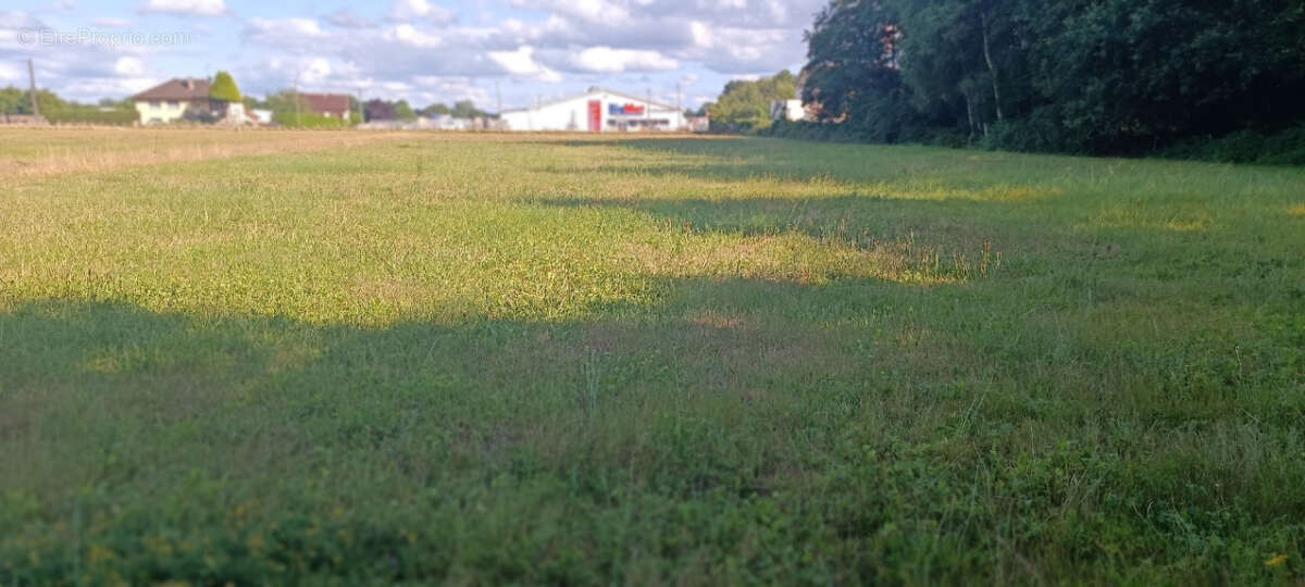 Terrain à LUXEUIL-LES-BAINS