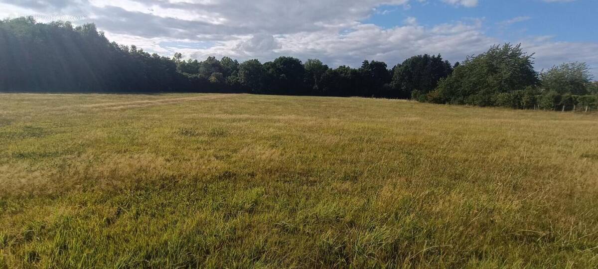 Terrain à LUXEUIL-LES-BAINS