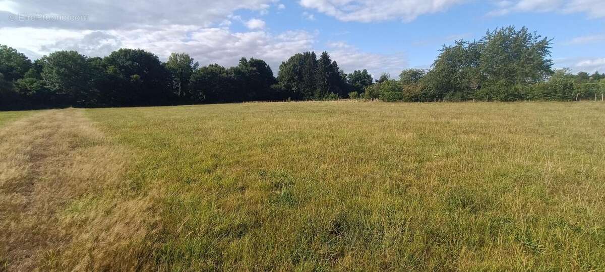Terrain à LUXEUIL-LES-BAINS