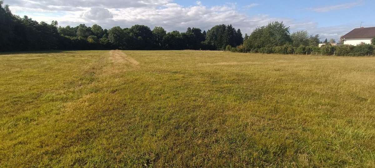 Terrain à LUXEUIL-LES-BAINS